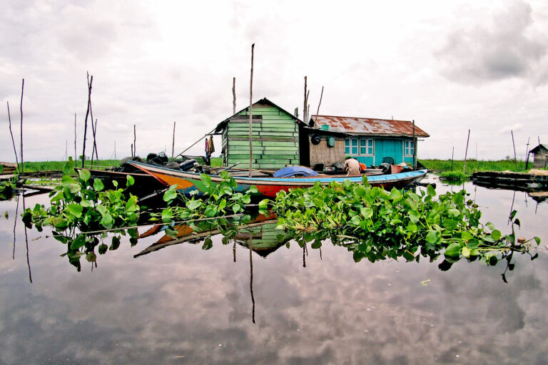 Penjaga Kehidupan yang Terpinggirkan: Penyangga Tatanan Negara Indonesia (PETANI)