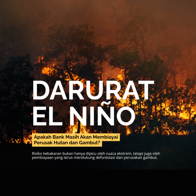 Darurat El Nino Hingga 2027, Masyarakat Sipil Indonesia Desak Bank Hentikan Pembiayaan terhadap Perusak Hutan dan Gambut